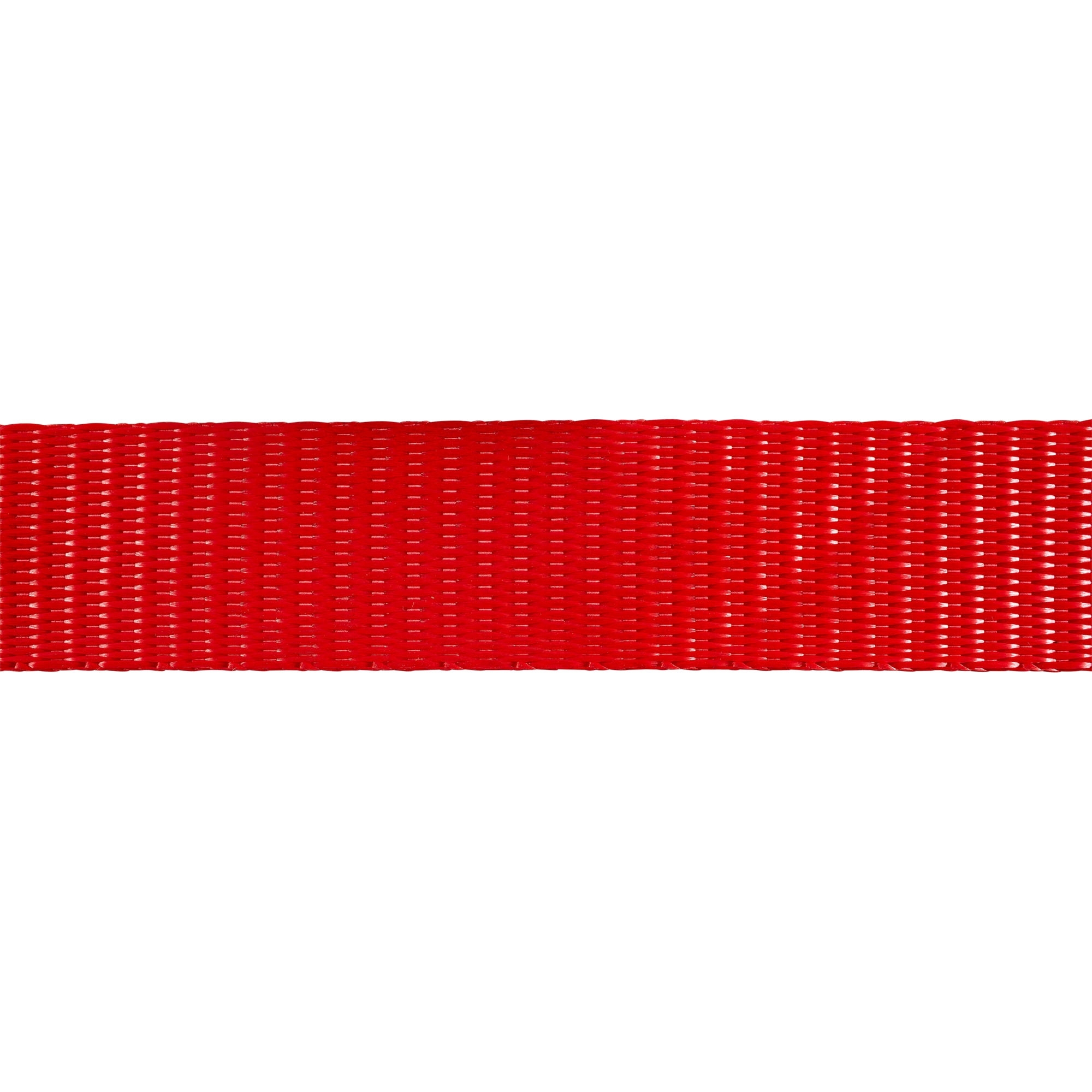 Zurrgurt 2-tlg. Airlineschiene, L 2000mm, LC125daN