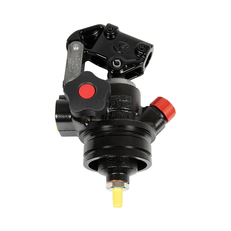 Pumpenkopf, Chapel P20SDA, doppelhub, einfachwirke